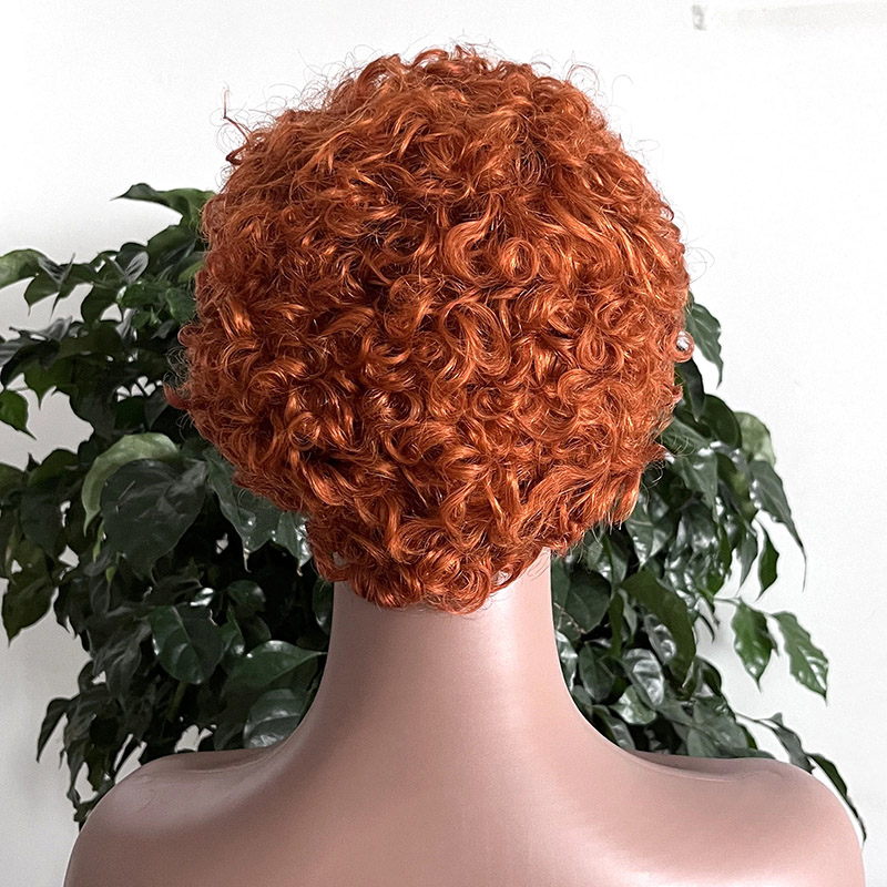 human hair wig hair Ellen Wille